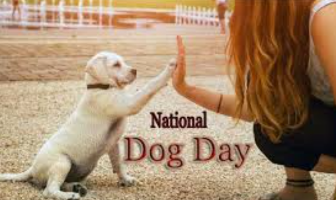 Happy National Dog Day 2021