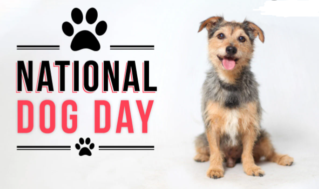 National Dog Day 2021