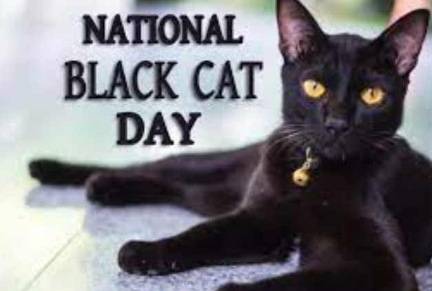 Happy National Black Cat Day 2021