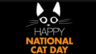 Happy National Cat Day 2021