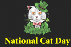 National Cat Day Image