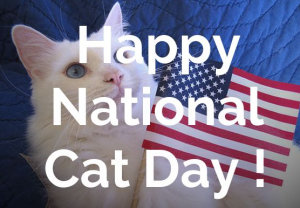 National Cat Day wishes