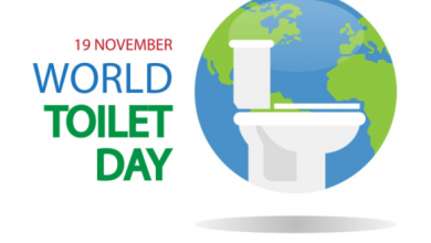World Toilet Day