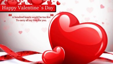 10+ Heart Touching Valentine Day