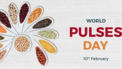 World Pulses Day 2022