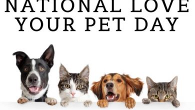 National Love Your Pet Day