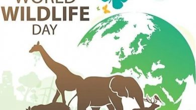 World Wildlife Day 2022