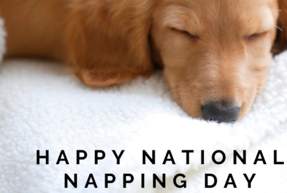 National Napping Day 2022