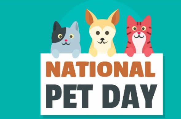National Pet Day 2022