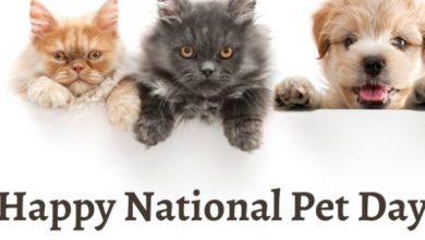National Pet Day Quotes 2022