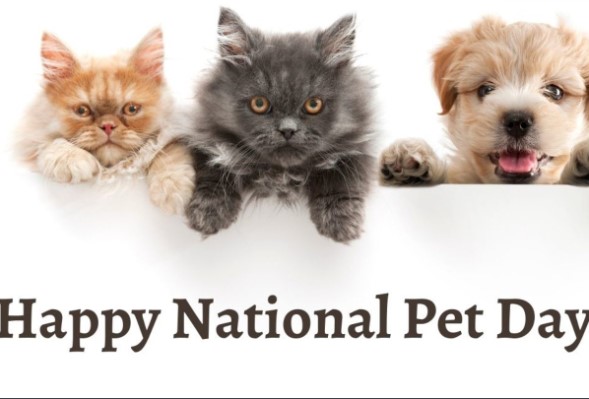 National Pet Day Quotes 2022
