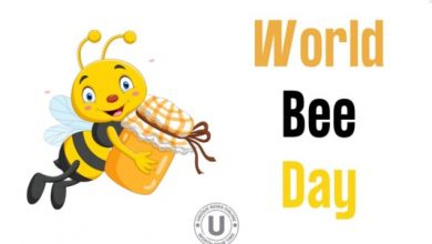 Happy World bee day 2022