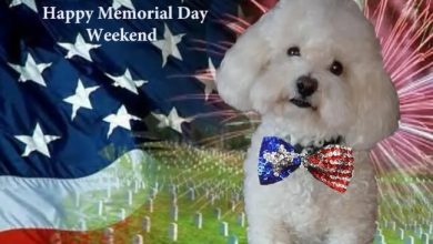 Memorial Day Weekend Wishes