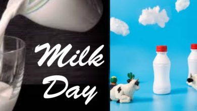 World Milk Day 2023