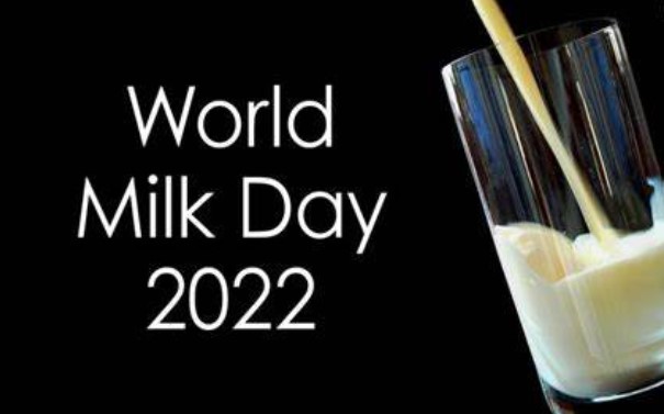 World milk day 2022