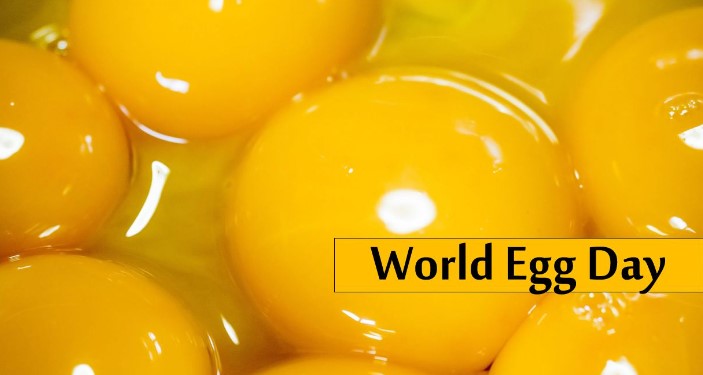 Happy National Egg Day 2022 UK