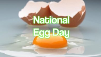 National Egg Day 2022