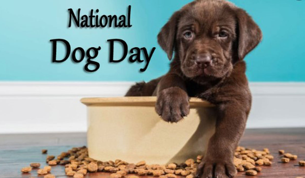 Happy National Dog Day 2022 Images