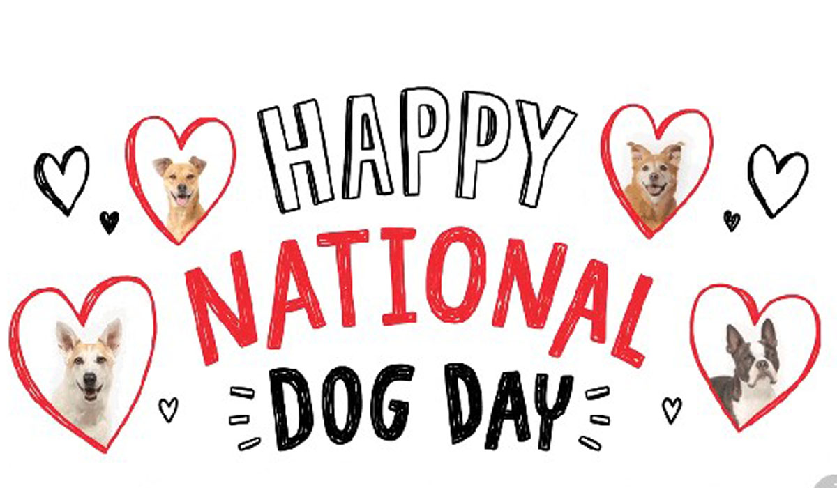 Happy National Dog Day 2023 Best Messages, Wishes, Greetings, Images