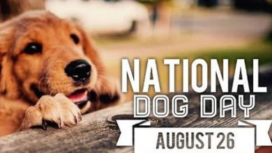 National Dog Day 26th August