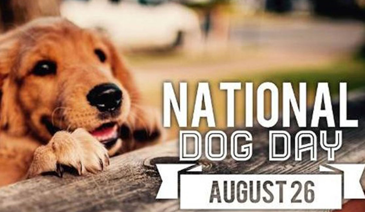 National Dog Day 26th August