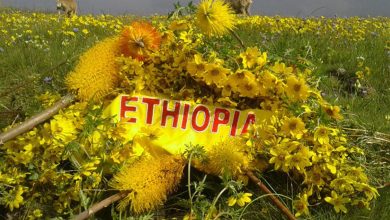 Happy Ethiopian New Year 2022