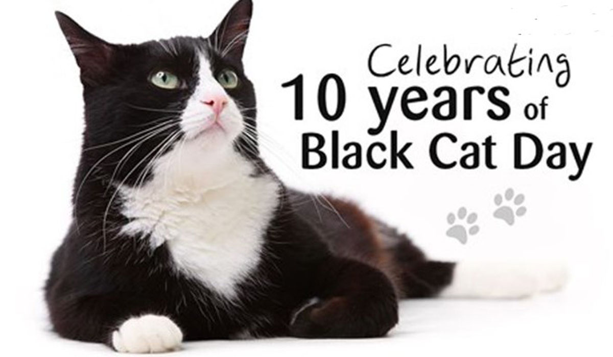 National Black Cat Day 2022 USA