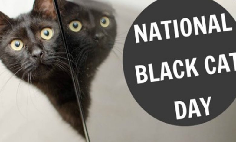 National Black Cat Day