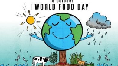 World Food Day Theme 2022