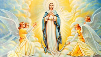 Happy Assumption of Mary 2023