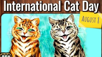 International Cat Day 2023 Uk