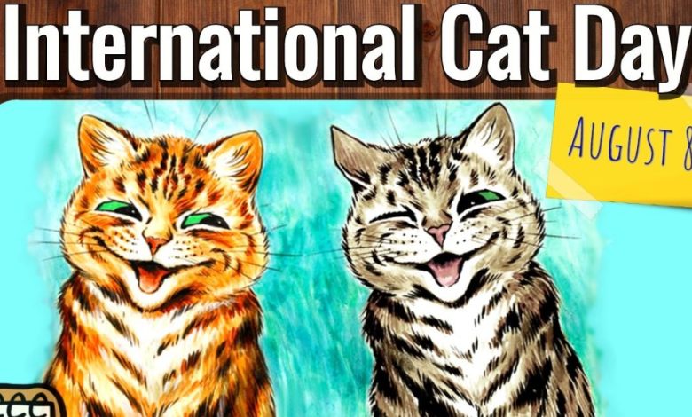 International Cat Day 2023 Uk