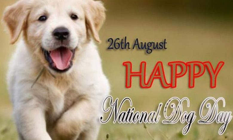 National Dog Day 2023
