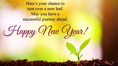 Best happy new year quotes for friends 2025