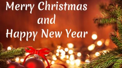 Merry Christmas and happy new year in advance quotes